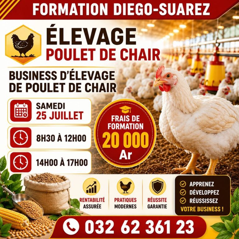 formation poule diego
